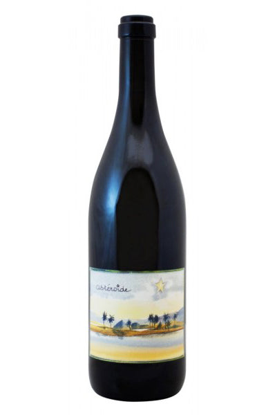 2019 Blanc Fumé de Pouilly, Astéroïde, Domaine Didier Dagueneau, Loire