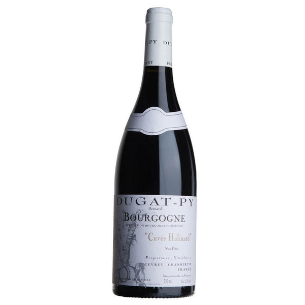2023 Bourgogne Rouge, Domaine Dugat-Py