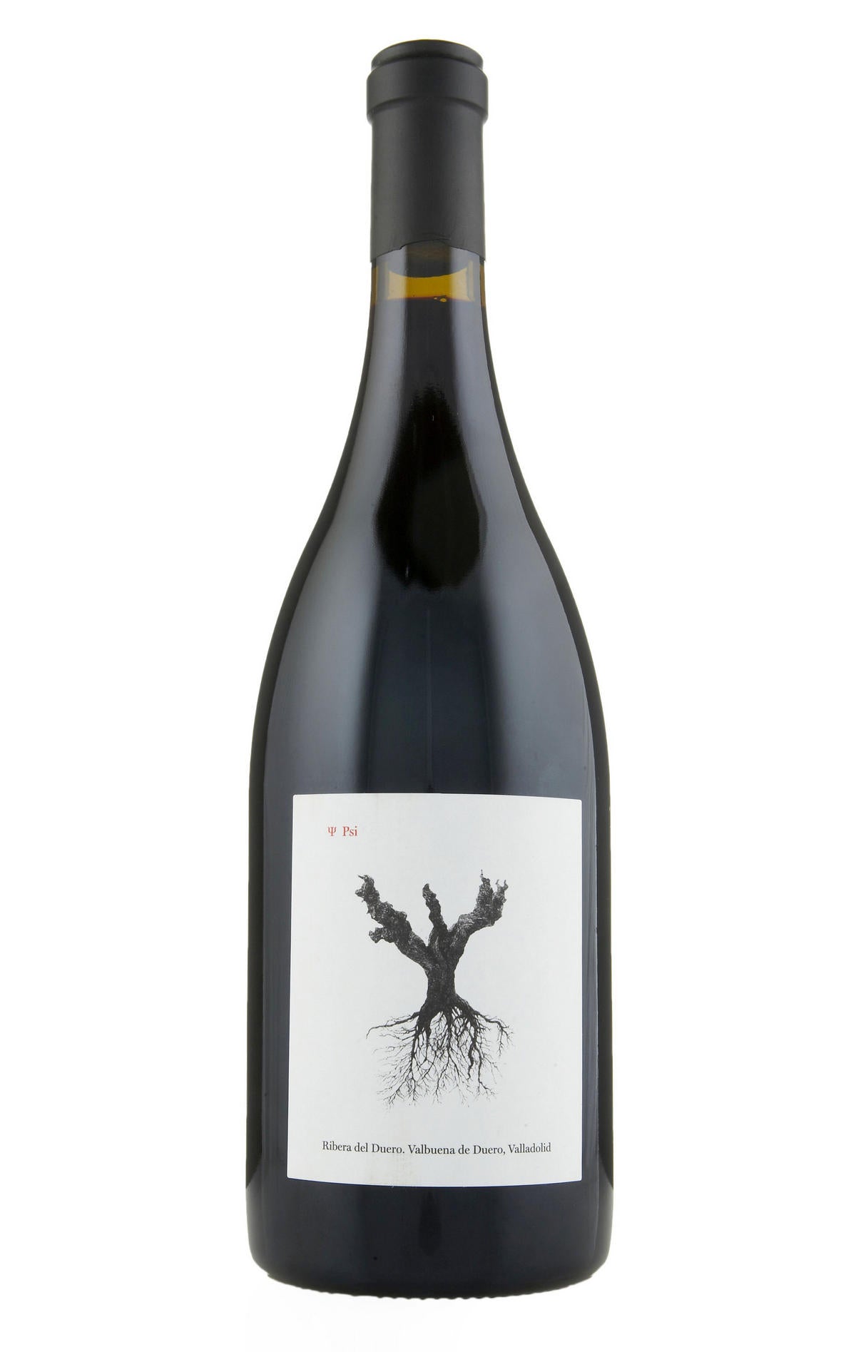 2022 ? Psi, Bodegas y Viñedos Alnardo, Ribera del Duero, Spain