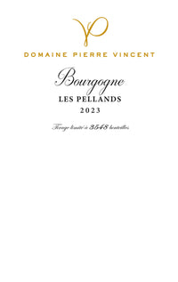 2023 Bourgogne, Les Pellans, Domaine Pierre Vincent