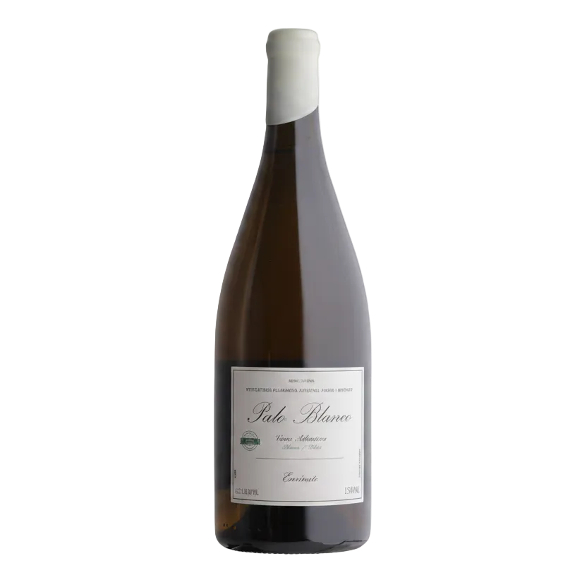 2024 Palo Blanco, Envínate, Tenerife, Spain