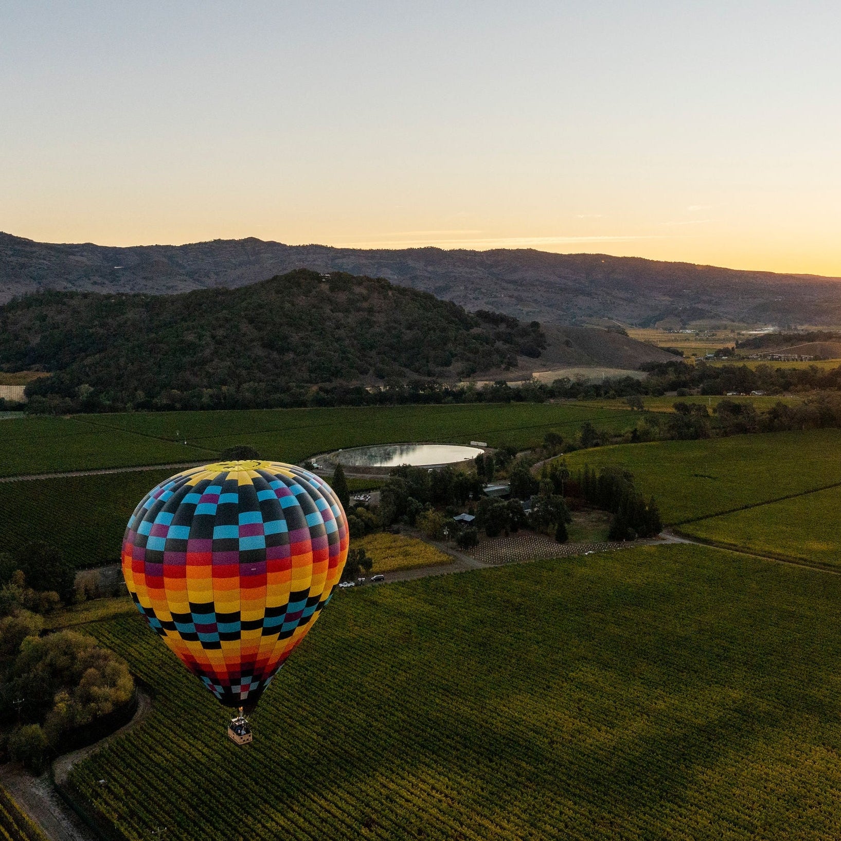 Napa Valley Vintners