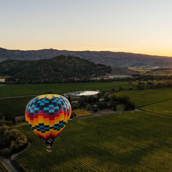Napa Valley Vintners