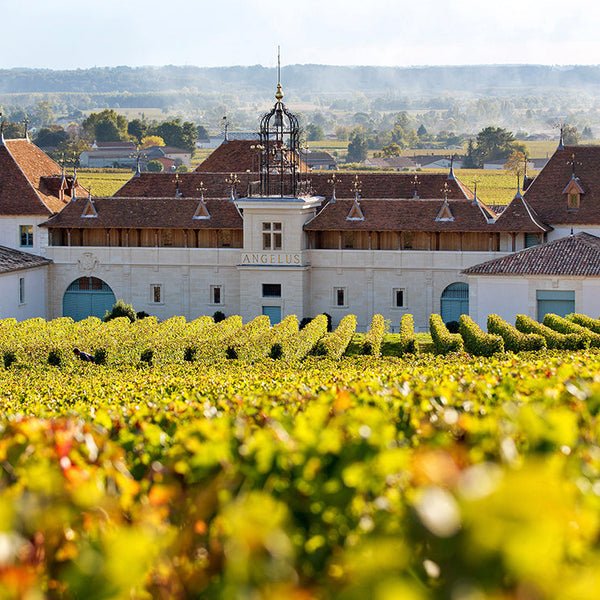 An Evening with Château Angélus