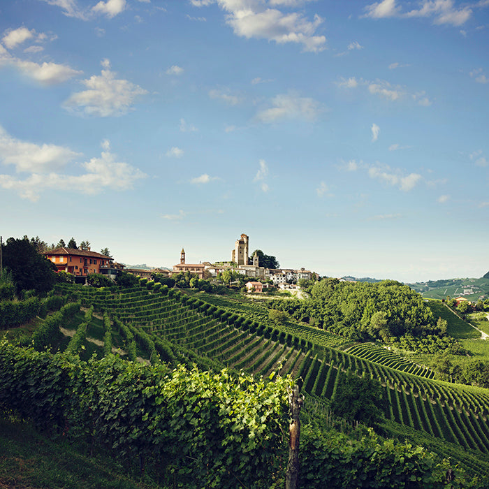 The Stars Of Italy Tasting