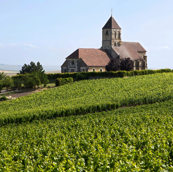 A Celebration of Champagne: Walkaround Tasting