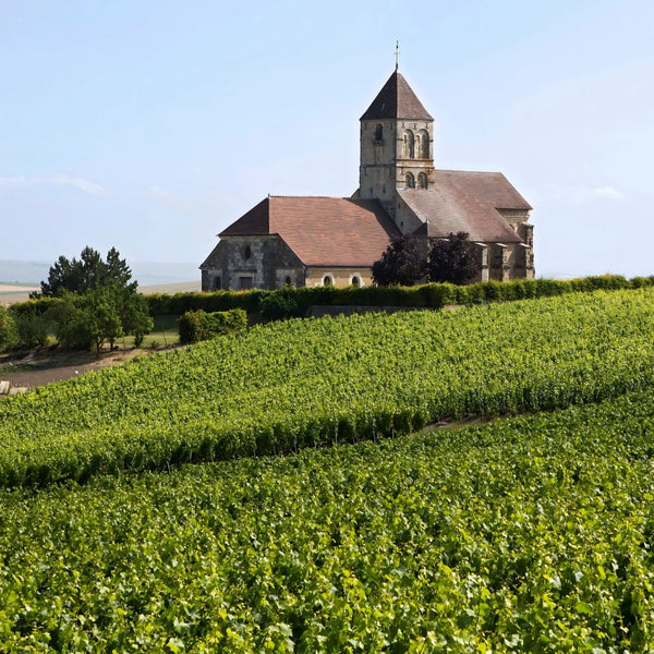 An Evening with Bollinger